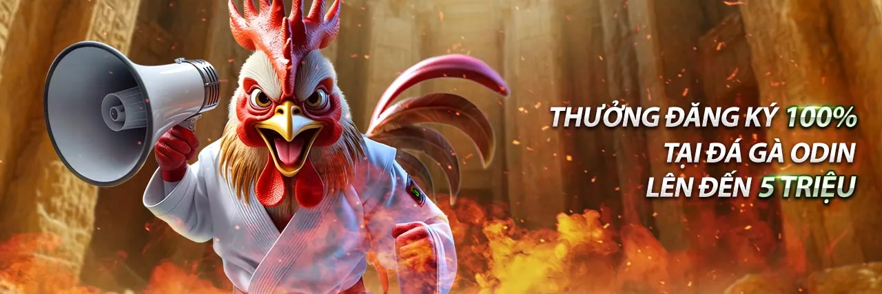 Giao diện ứng dụng xịn88 trên điện thoại, sẵn sàng để tải về